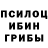 Псилоцибиновые грибы Psilocybe Margot Gray