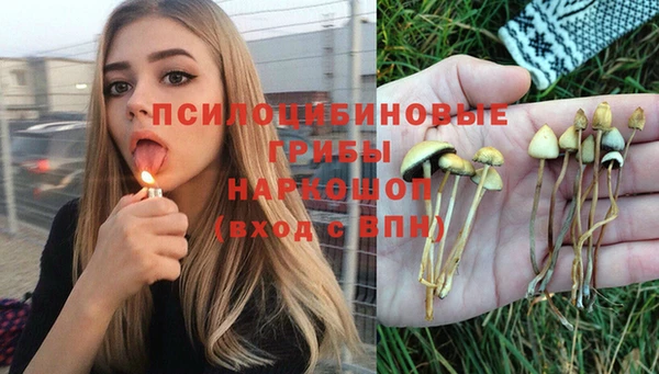 хмурый Волоколамск