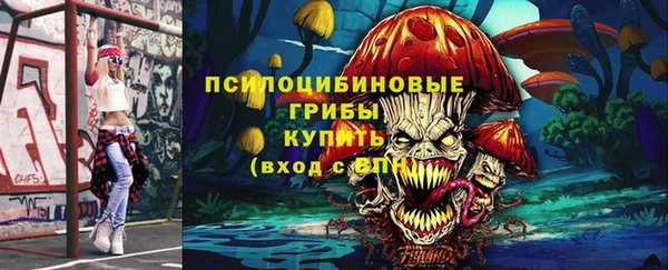 хмурый Волоколамск