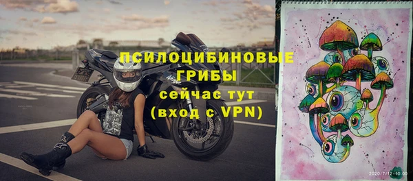 бошки Володарск